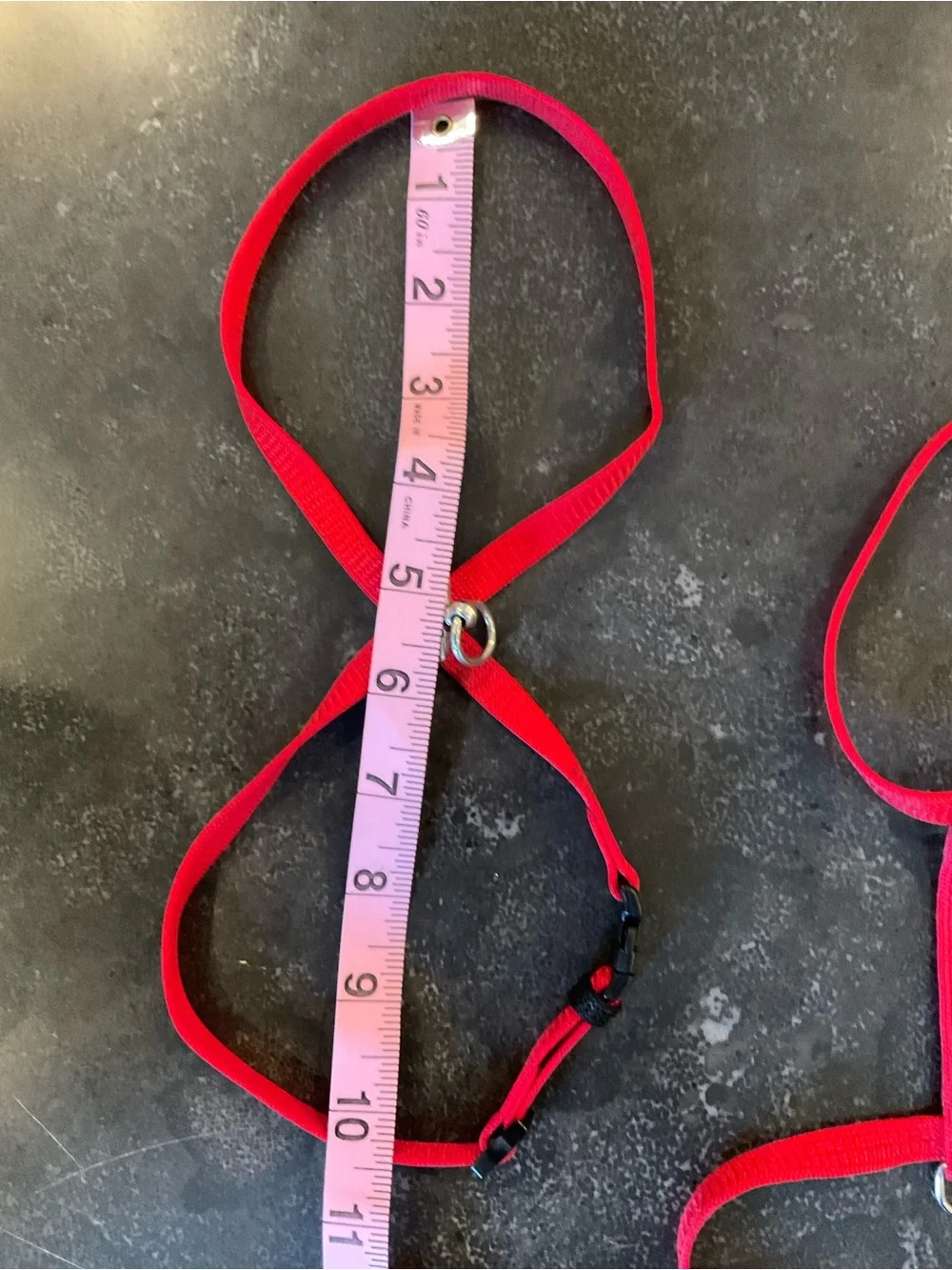 Bright Red Nylon Cat Harness and Leash Set